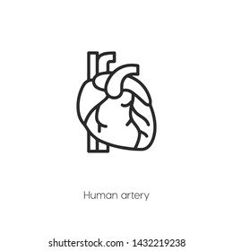 human artery icon vector symbol sign