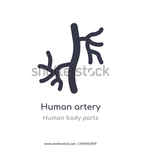 human artery outline icon. isolated line\
vector illustration from human body parts collection. editable thin\
stroke human artery icon on white\
background