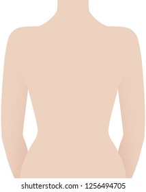 Human back illustration