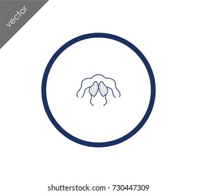 human back muscle icon