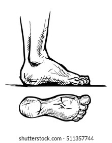  human bare footprints and leg in ink hand drawn style.