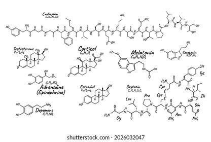 Human big set hormone concept chemical skeletal formula icon label, text font vector illustration, isolated on white. Periodic element table. Healthy lifestyle endocrine system.