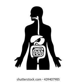 Human Biological Digestive / Digestion System Flat Vector Icon For Medical Apps And Websites