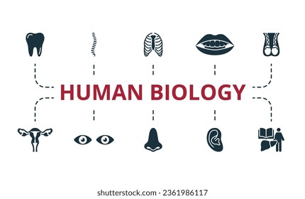 Human biology set. Creative icons: tooth, spine, rib cage, mouth, testicles, uterus, eyes, nose, ear, anatomy.