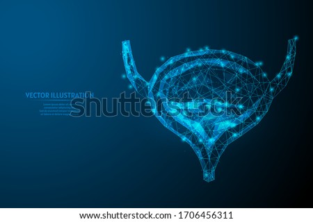 Human bladder close up. Organ anatomy. Excretory system. Kidney disease, cancer, cystitis, stones. Innovative medicine and technology. 3d low poly wireframe isolated vector illustration.