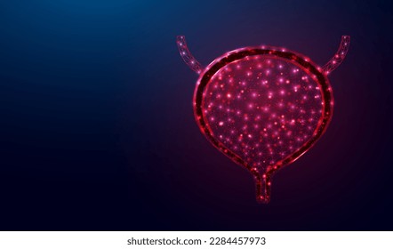 Human bladder. Design element for medical concept, bladder cancer, cystitis, human excretory system. Wireframe low poly style. Abstract vector illustration on dark blue background. 