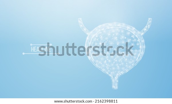 Human
bladder. Design element for medical concept, bladder cancer,
cystitis, human excretory system. Wireframe low poly style.
Abstract vector illustration on blue
background