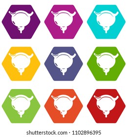 Human bladder icons 9 set coloful isolated on white for web