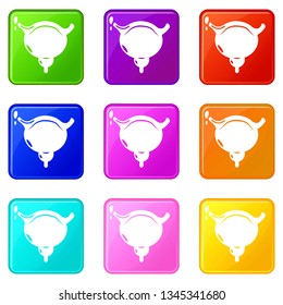 Human bladder icons set 9 color collection isolated on white for any design