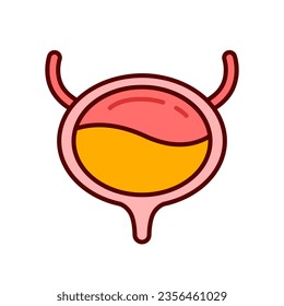 Human bladder organ vector icon design template elements, internal organs image