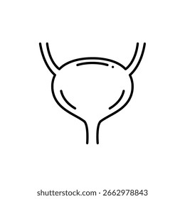 Ícone vetorial do contorno da bexiga humana, um simples desenho em forma de linha do órgão urinário para ilustrações de urologia, medicina e anatomia.