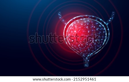 Human bladder pain. Design element for medical concept, bladder cancer, cystitis, human excretory system. Wireframe low poly style. Abstract vector illustration on dark blue background. 