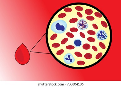 human blood cell,red blood cell and white blood cell vector