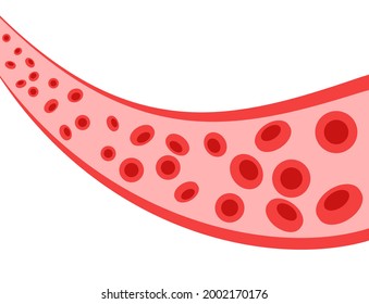 Human blood cells structure under microscope. Erythrocytes icons in vein. Human blood vessel concept. Microbiology test in laboratory. Isolated medical flat vector illustration for clinic or hospital.