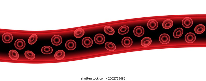 Human blood cells structure under microscope. Erythrocytes icons in vein. Human blood vessel. Microbiology test in laboratory. Isolated medical 3d vector illustration for clinic, hospital or education