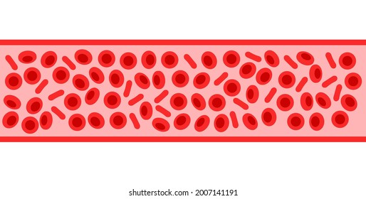 Estructura de células sanguíneas humanas bajo microscopio. Iconos eritrocitos en vena. Concepto de vasos sanguíneos humanos. Prueba de microbiología en laboratorio. Ilustración clínica de vector plano aislada para clínica u hospital.