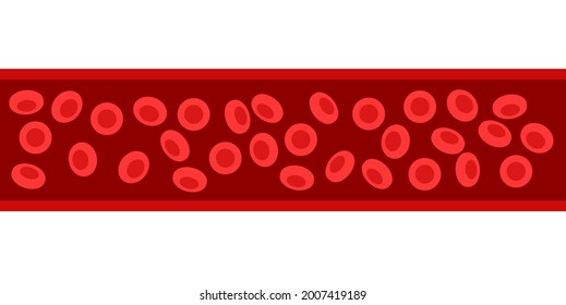 Human blood cells structure under microscope. Erythrocytes icons in vein. Human blood vessel concept. Microbiology test in laboratory. Isolated medical flat vector illustration for clinic or hospital.
