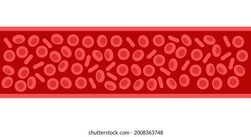 Estructura de células sanguíneas humanas bajo microscopio. Iconos eritrocitos en vena. Concepto de vasos sanguíneos humanos. Prueba de microbiología en laboratorio. Ilustración clínica de vector plano aislada para clínica u hospital.