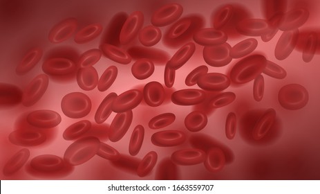 Human blood cells under a microscope, the movement of red blood cells in blood vessels