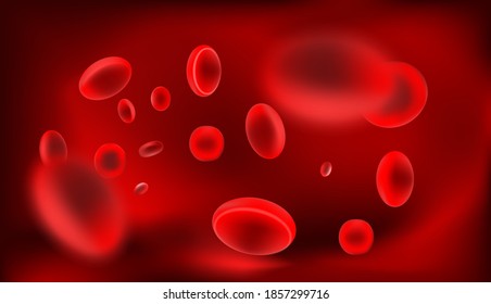 Human blood cells under a microscope, the movement of red blood cells in blood vessels. Vector