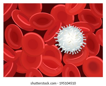 Human blood cells - vector illustration