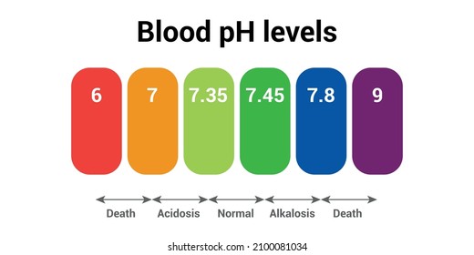 1,141 imágenes de Blood ph - Imágenes, fotos y vectores de stock