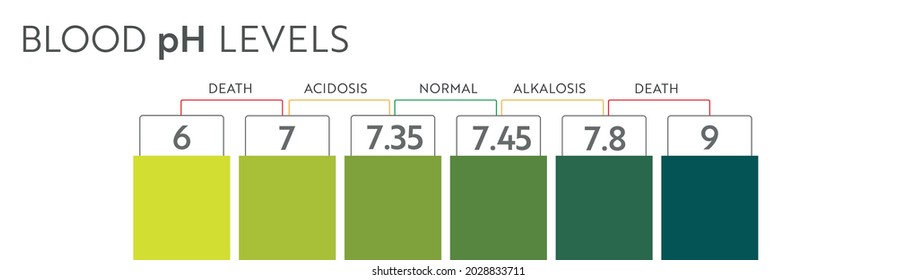 Human Blood Ph Range Medical Illustration Stock Vector (Royalty Free