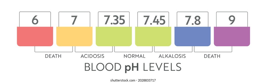 Human Blood Ph Range Medical Illustration Stock Vector (Royalty Free ...