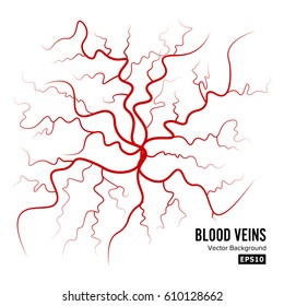 Human Blood Veins Vector. Red Blood Vessels Design. Illustration Isolated On White Background 