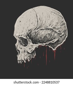 Human Bloody Skull Drawing Illustration