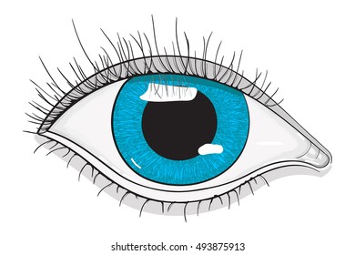 Human blue eye. Vector illustration isolated on white background