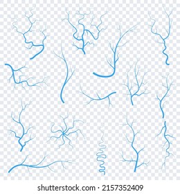 Human Blue Eye Veins, Anatomy Blood Vessel Arteries Illustration. Vector Medical Eyeball Vein Arteries System Map. Veins In Flat Style Isolated On Trasparent Background