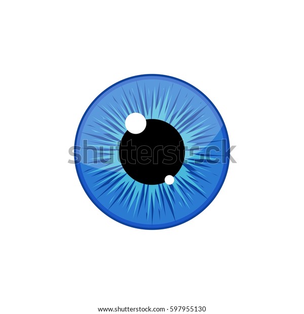 白い背景に人間の青い眼球の虹彩瞳 目のベクターイラスト のベクター画像素材 ロイヤリティフリー