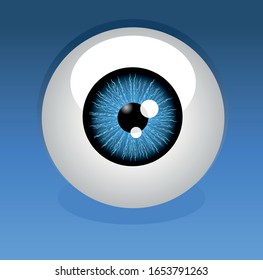 Human blue eyeball vector illustration