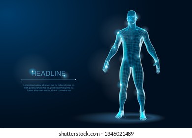 Human Body 3D Polygonal Wireframe Blueprint