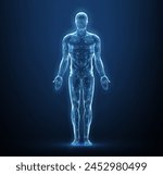 Human body. Abstract vector. Digital anatomy, Medical technology, Muscle structure, Health innovation, 3D model, DNA biotechnology, Body system, Science medicine, Healthy anatomy concept