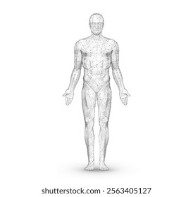 Human body. Abstract vector. Digital anatomy, Medical technology, Muscle structure, Health innovation, 3D model, DNA biotechnology, Body system, Science medicine, Healthy anatomy concept