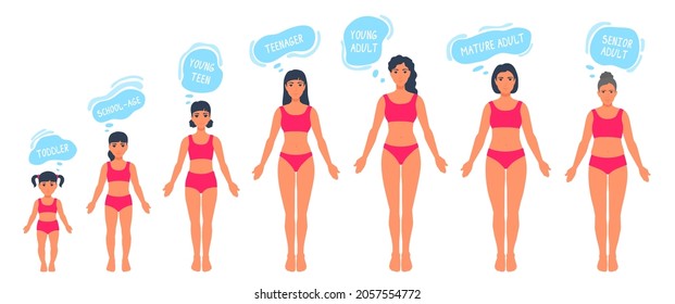The human body aging process. A female person aging, getting old. Woman anatomy. Growth of people's bodies. A vector cartoon illustration.