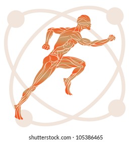 Human Body Anatomy