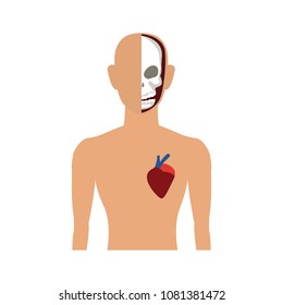 Human body anatomy