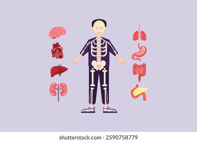 Human body anatomy concept. Colored flat vector illustration isolated