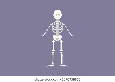 Human body anatomy concept. Colored flat vector illustration isolated