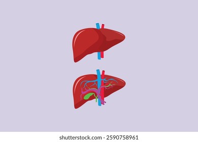 Human body anatomy concept. Colored flat vector illustration isolated