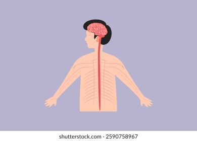 Human body anatomy concept. Colored flat vector illustration isolated
