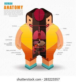 Human Body Anatomy Isometric View And Flat Styler, Vector Illustration Isolated On White Background.