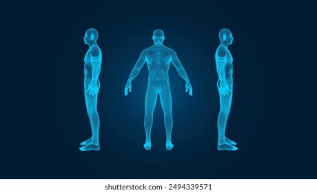 Human body anatomy or lymphatic system. 3D hologram style male body wireframe. Medical healthcare concept.