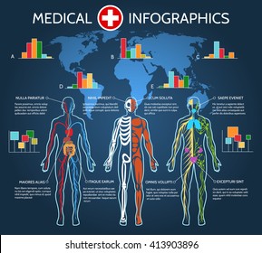 Human Body Anatomy Medical Infographic Vector Illustration