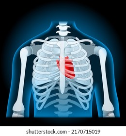 Human body anatomy. rib cage, lungs and heart. axial skeleton on x-ray blue realistic torso. Human silhouette on dark background. Vector poster