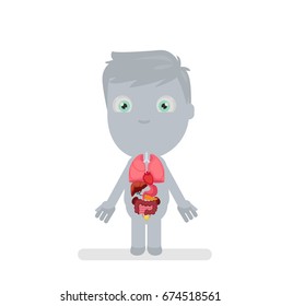 Human body anatomy vector illustration: Organs