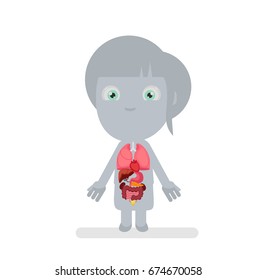 Human body anatomy vector illustration